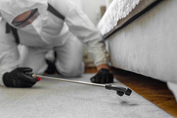 Professional Emergency Pest Control technician working in Cordry Sweetwater Lakes, IN